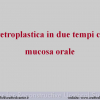 Diapositiva02