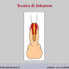 Diapositiva6