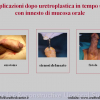 Diapositiva12