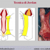 Diapositiva07