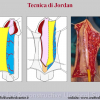 Diapositiva08