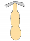 mucosa3